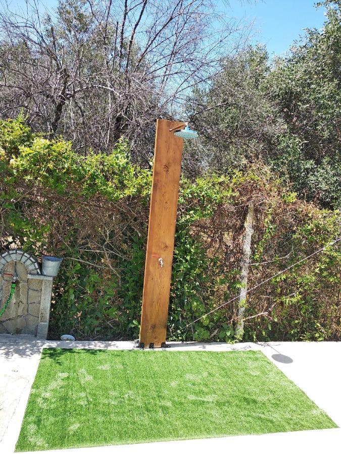 Casa Consta Olympus Villa Litóchoron Dış mekan fotoğraf