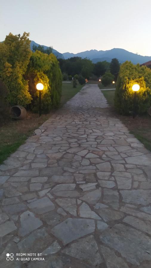 Casa Consta Olympus Villa Litóchoron Dış mekan fotoğraf
