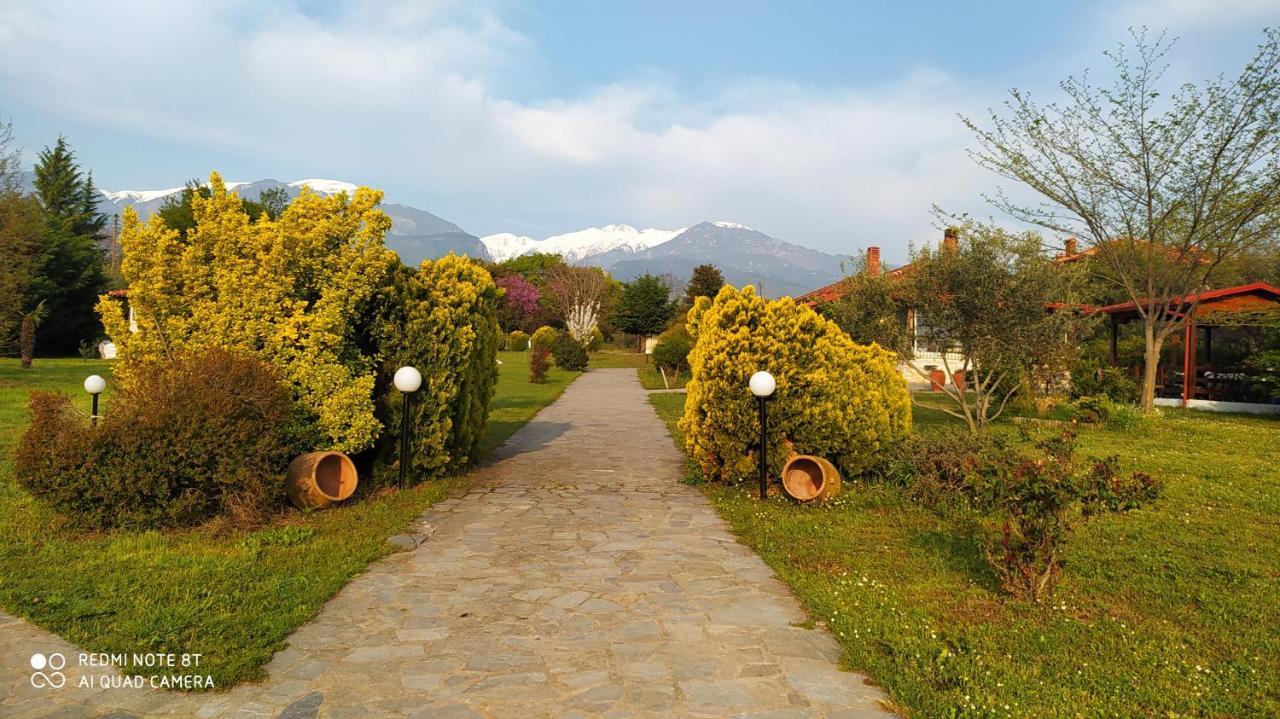 Casa Consta Olympus Villa Litóchoron Dış mekan fotoğraf