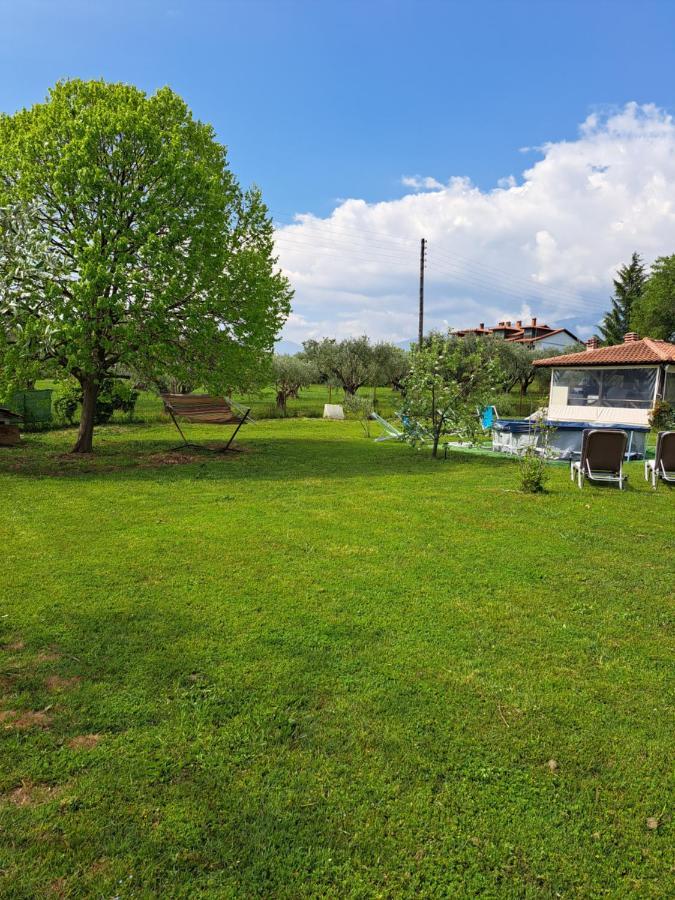 Casa Consta Olympus Villa Litóchoron Dış mekan fotoğraf