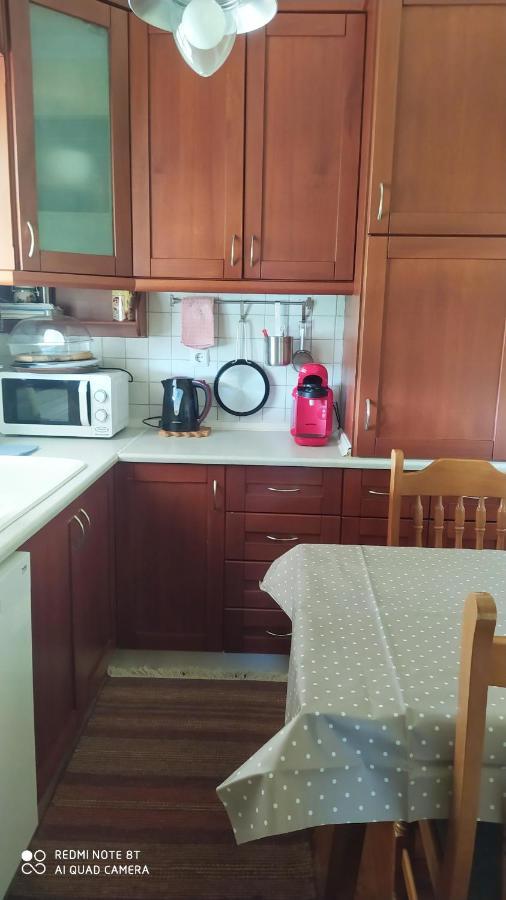 Casa Consta Olympus Villa Litóchoron Dış mekan fotoğraf