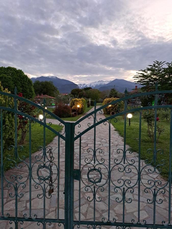 Casa Consta Olympus Villa Litóchoron Dış mekan fotoğraf