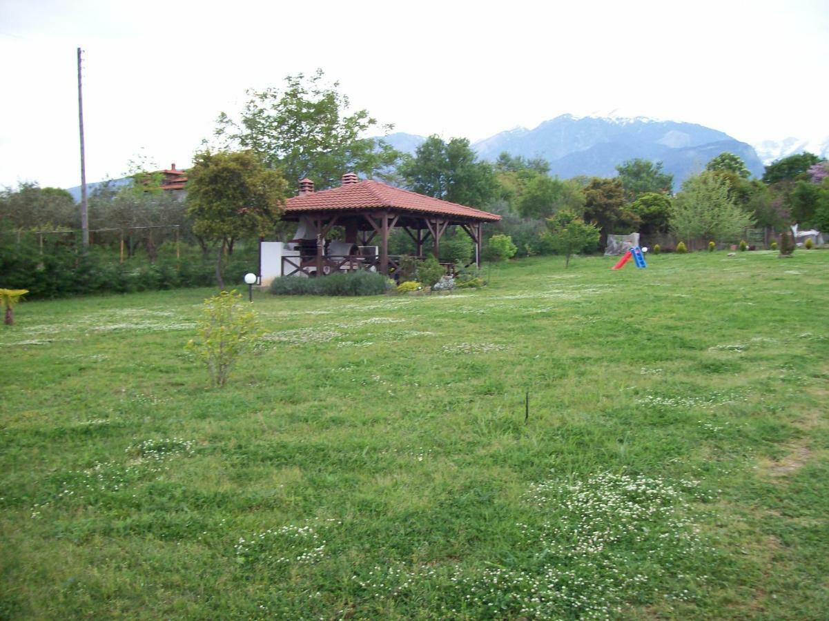 Casa Consta Olympus Villa Litóchoron Dış mekan fotoğraf