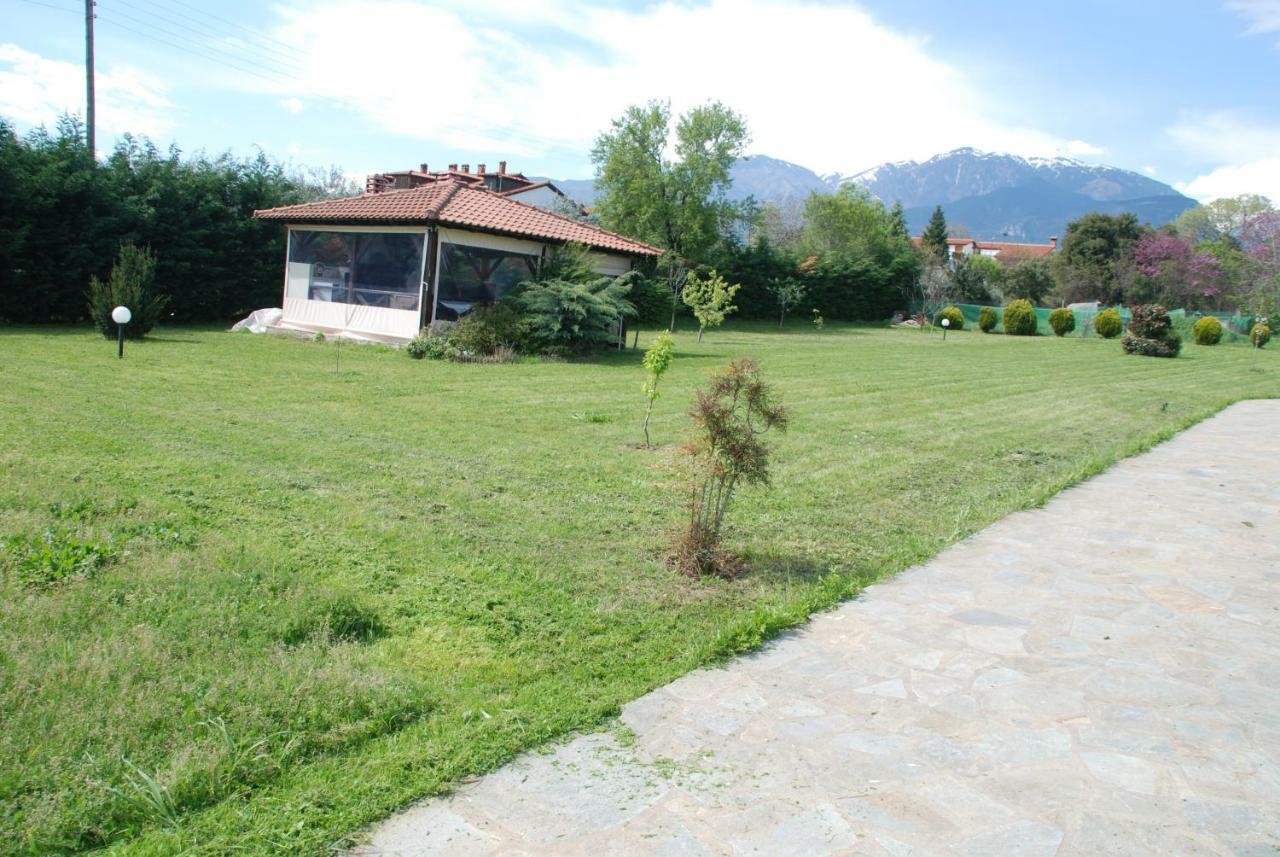 Casa Consta Olympus Villa Litóchoron Dış mekan fotoğraf